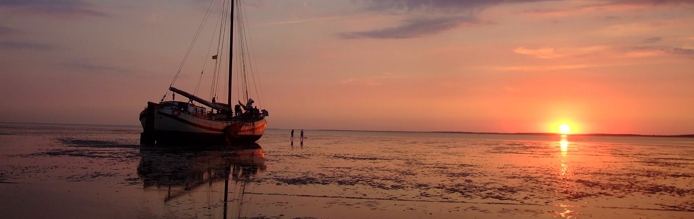 Wadden sea evening sailing trip sunset