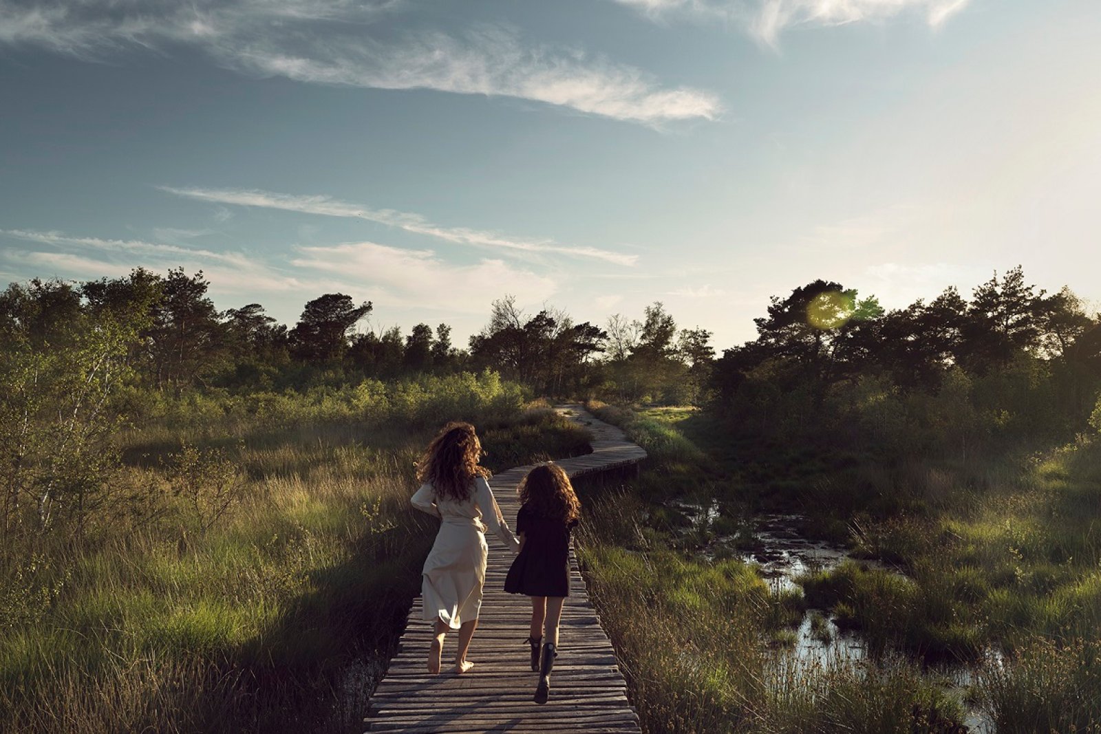 Nationaal Park De Groote Peel, waterrijk hoogveengebied in Noord-Limburg 