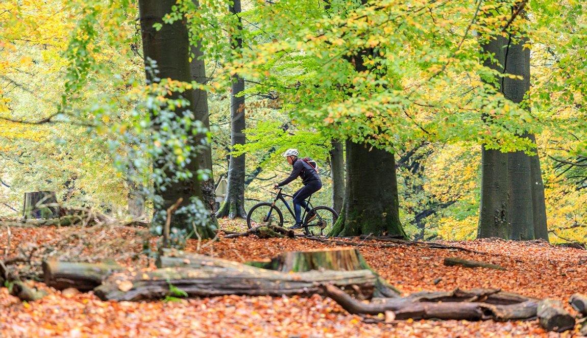 Cyclist on the Posbank in Rheden, Gelderland