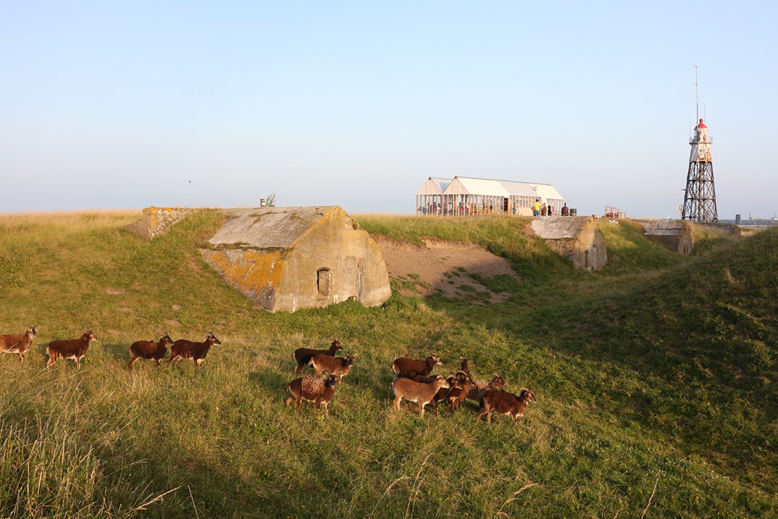 Lighthouse Island landscape with animals and tower