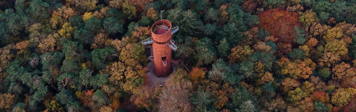 Bosbergtoren Appelscha in fall in Friesland