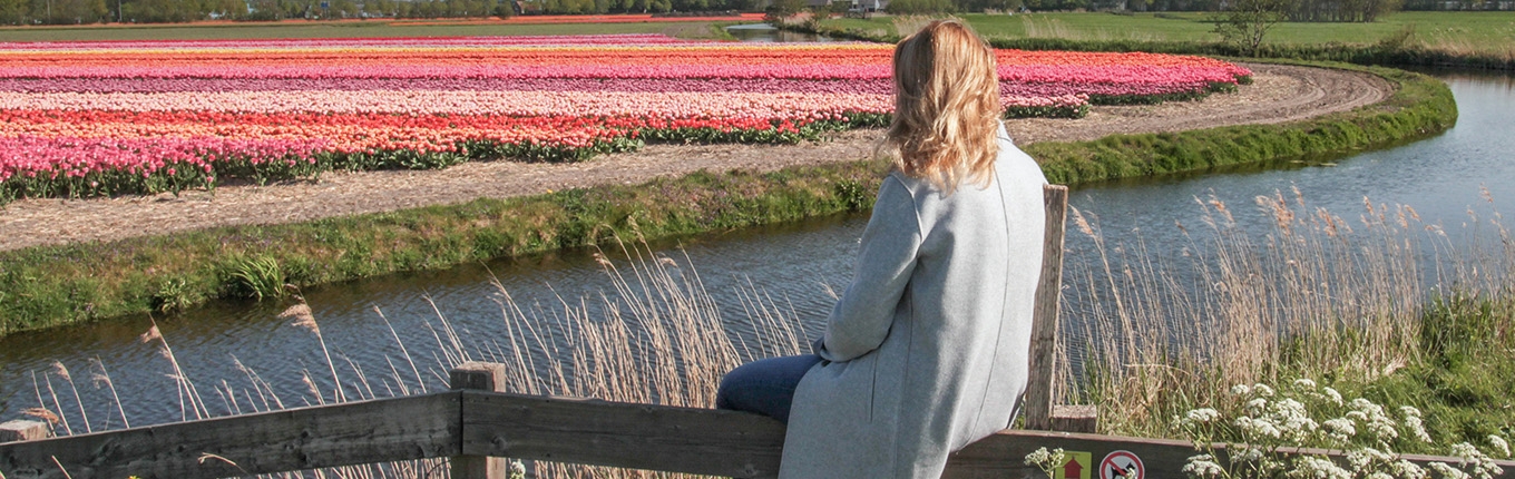 Lady on fence enjoys flower fields in Lisse in the Bulb Region