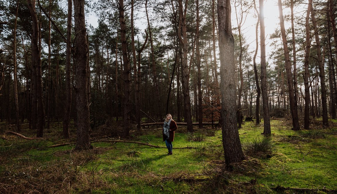 Van Gogh Drenthe in a forest