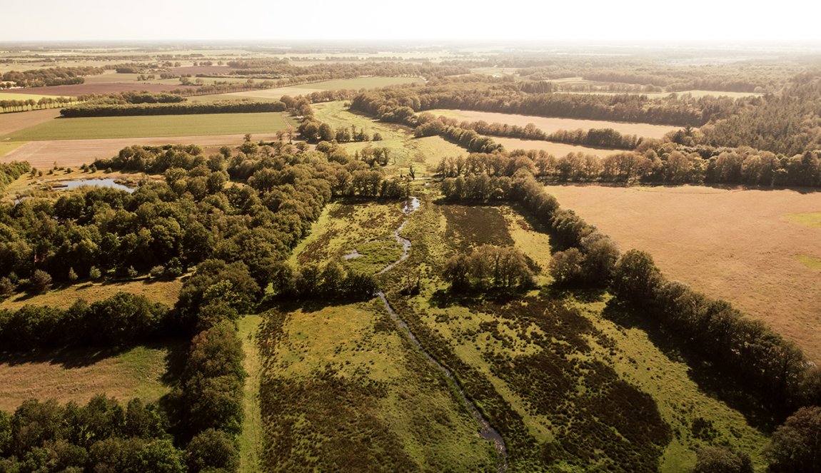 Van Gogh Drenthe the Drenthe landscape from above