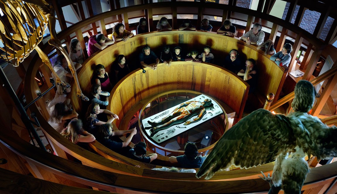 Anatomisch Theater Rijksmuseum Boerhaave