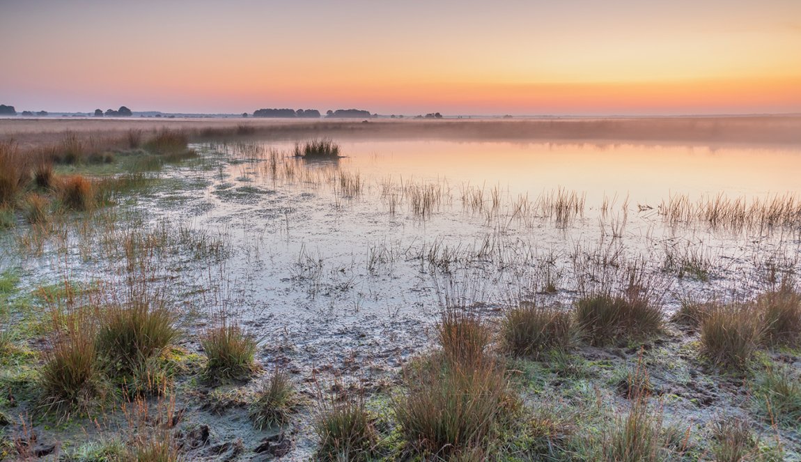 Vennen in National Park Dwingelderveld