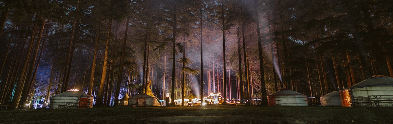 Outdoor winter escapade in Drenthe, camping location starry in the woods