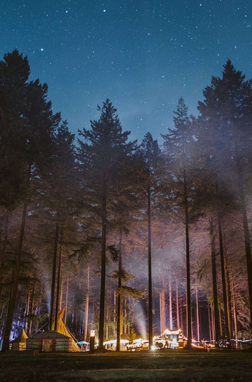 Outdoor winter escapade in Drenthe, camping location starry in the woods